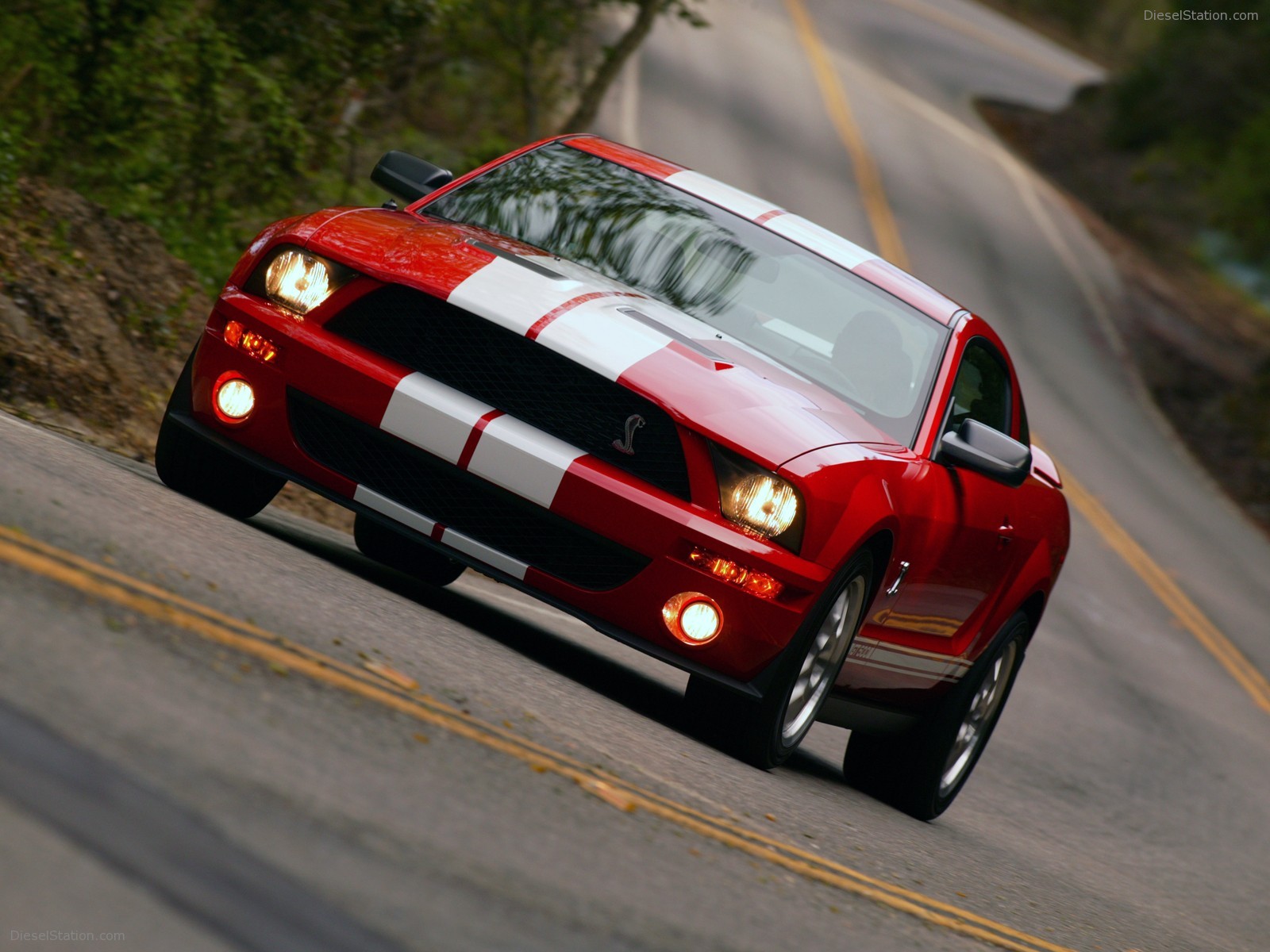 Ford Shelby Cobra GT500